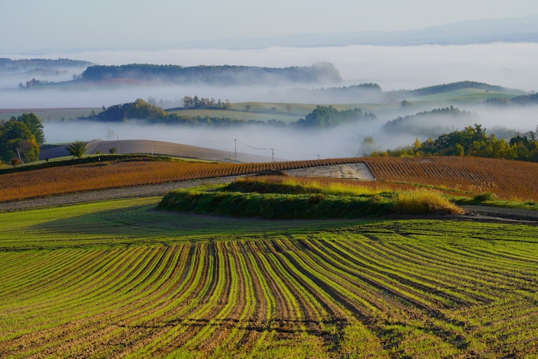 Senbo Pass (Kamifurano Hakkei)