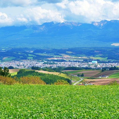 Senbo Pass (Kamifurano Hakkei) Senbo Pass (Kamifurano Hakkei)