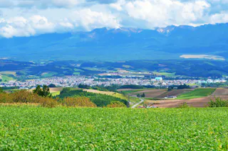 Senbo Pass (Kamifurano Hakkei)