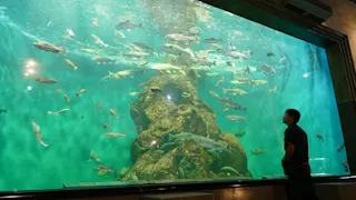 Shibetsu Salmon Museum