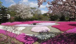 Shiki no sato Ryokusuien