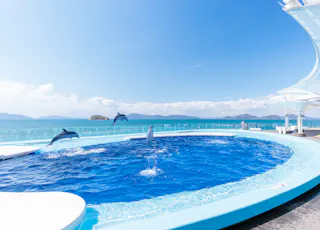 Shikoku Aquarium