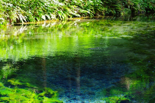Shirakawa Water Source