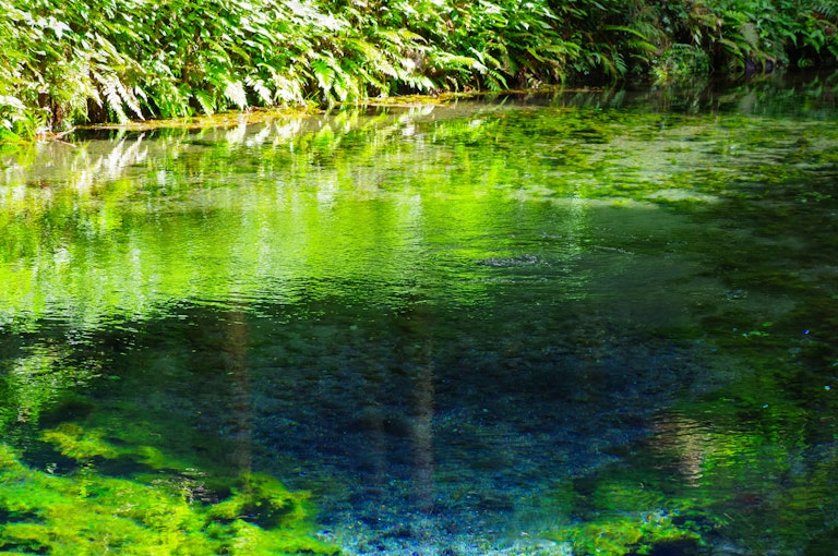 Shirakawa Water Source