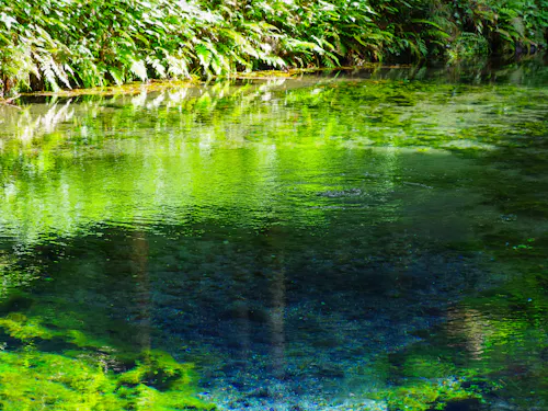 Shirakawa Water Source Shirakawa Water Source