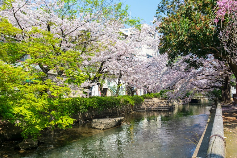 Nishikawa Greenway Park