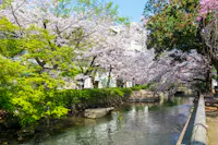 Nishikawa Greenway Park