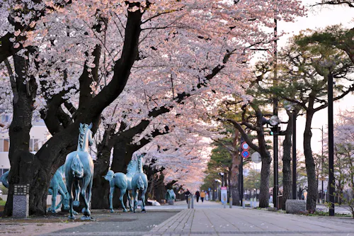 Towada City Government Office Street
