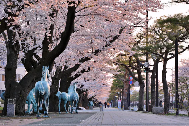 Towada City Government Office Street