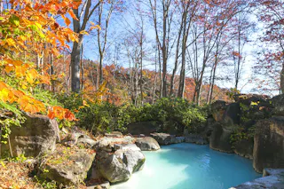 Tsubame Onsen