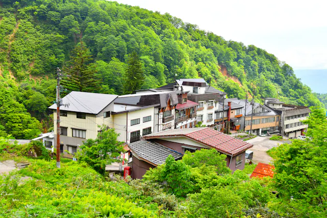 Tsubame Onsen