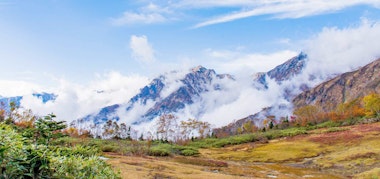 Tsugaike Nature Garden