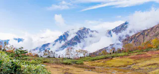 Tsugaike Nature Garden