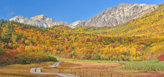 Tsugaike Nature Garden