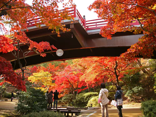 Yahiko Park Yahiko Park