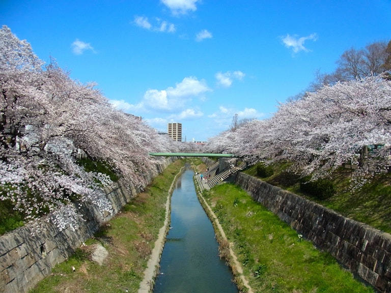 Yamazaki River, Nagoya