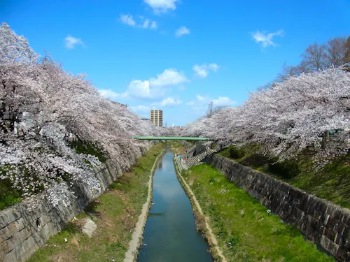 Yamazaki River, Nagoya