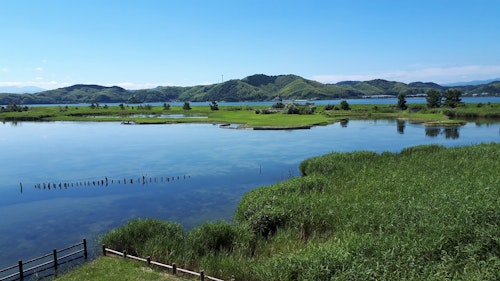 Yonago Waterbird Sanctuary