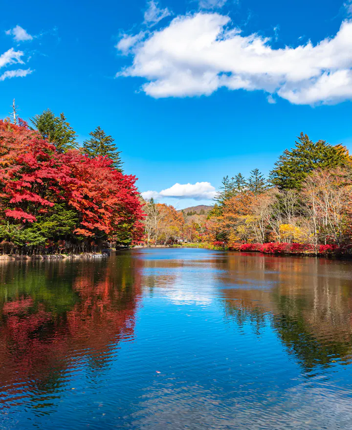 Kumoba Pond Kumoba Pond