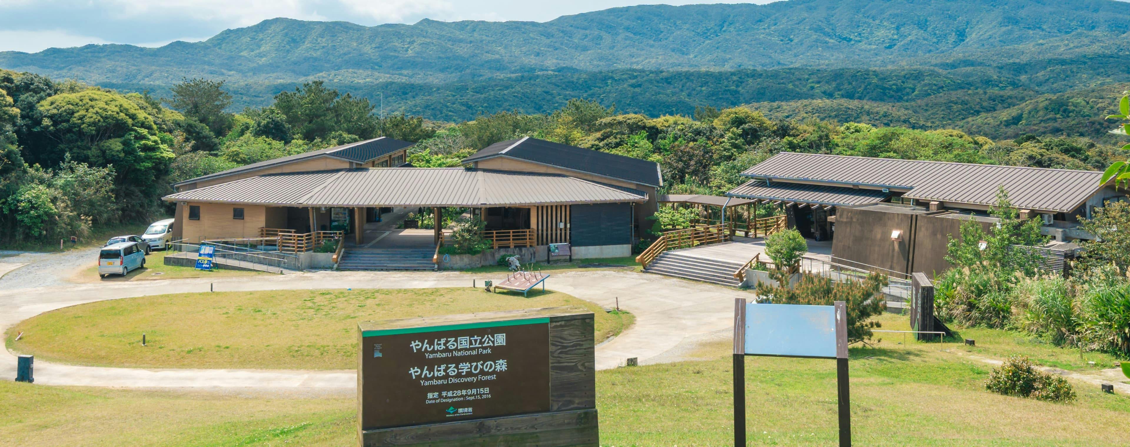 Yanbaru Learning Forest