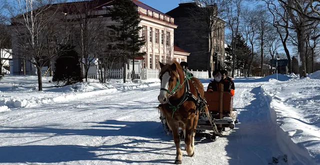 Historical Village of Hokkaido