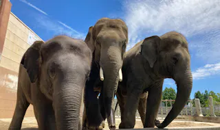 Nonhoi Park, Toyohashi Zoo and Botanical Park