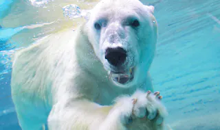 Nonhoi Park, Toyohashi Zoo and Botanical Park