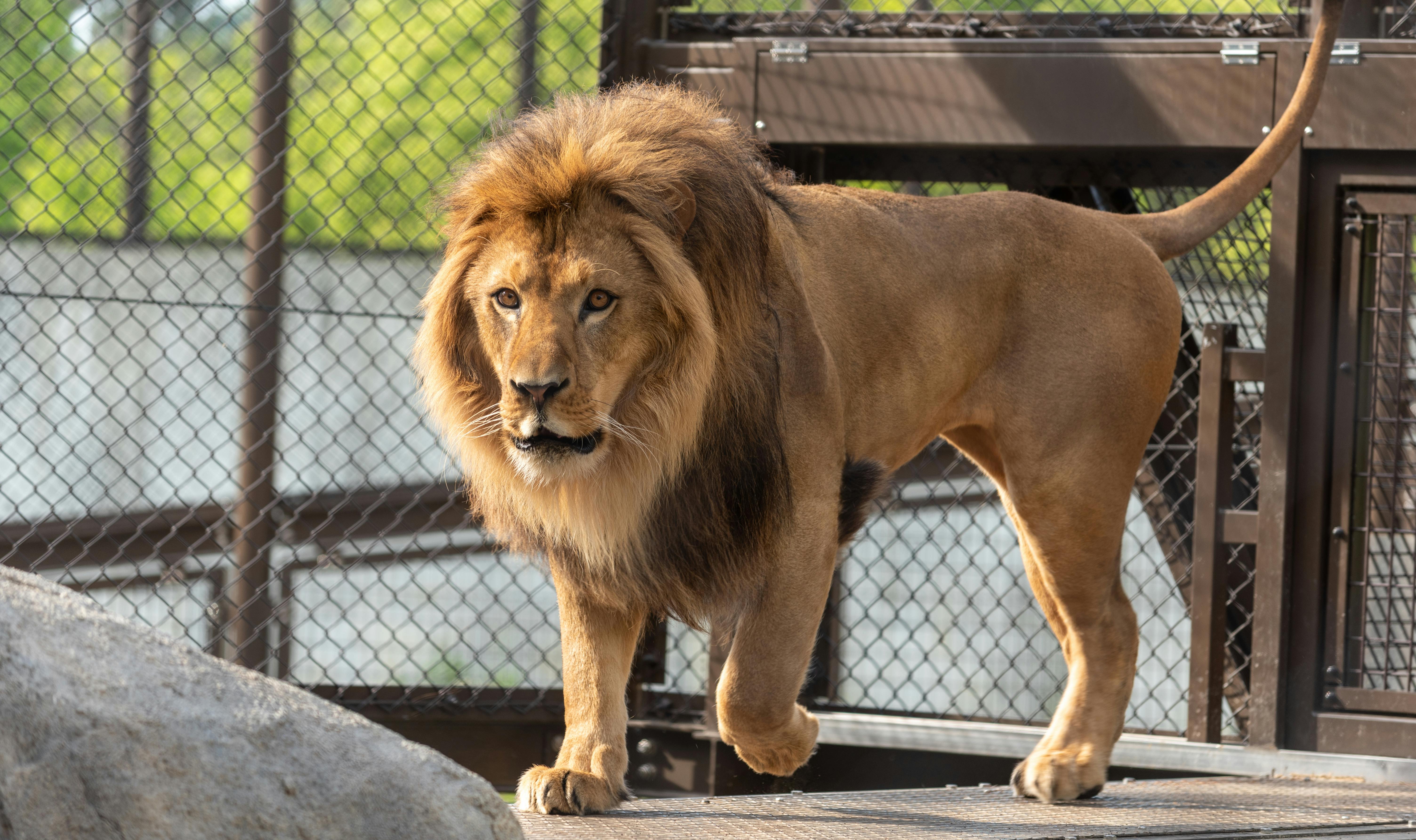 Nonhoi Park, Toyohashi Zoo and Botanical Park