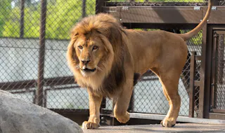 Nonhoi Park, Toyohashi Zoo and Botanical Park