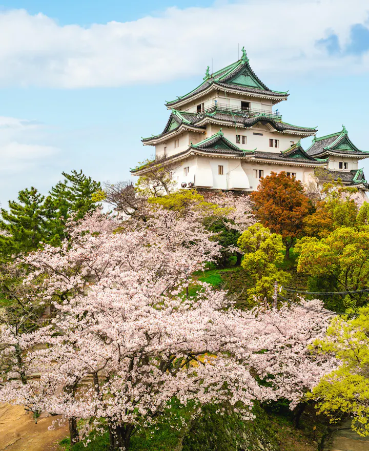 Wakayama Castle Wakayama Castle