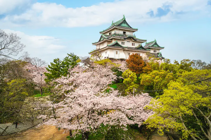 Wakayama Castle