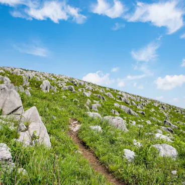 Akiyoshidai Akiyoshidai