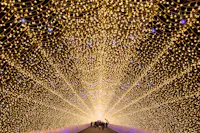 Nabana no Sato Illuminations Light Tunnel Light Corridor