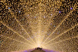 Nabana no Sato Illuminations Light Tunnel Light Corridor
