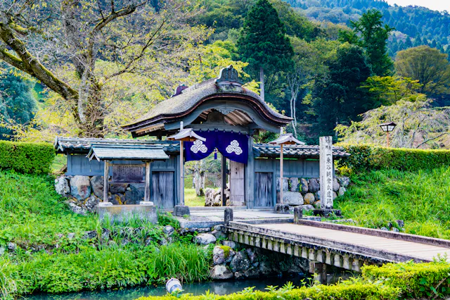 Ichijodani Asakura Clan Ruins