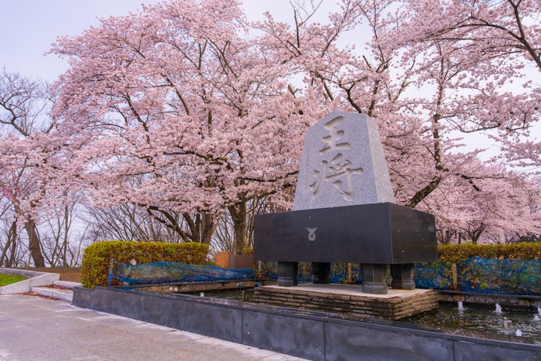 Tendo Park (Maizurusan)
