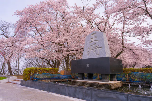 Tendo Park (Maizurusan)