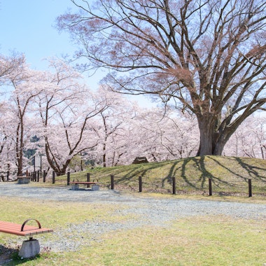 Tendo Park (Maizurusan) Tendo Park (Maizurusan)