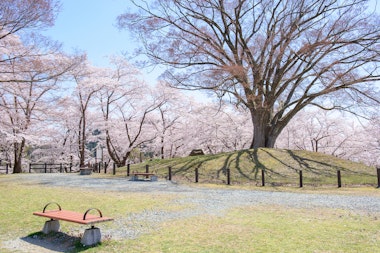 Tendo Park (Maizurusan)
