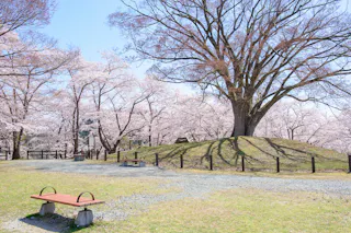 Tendo Park (Maizurusan)