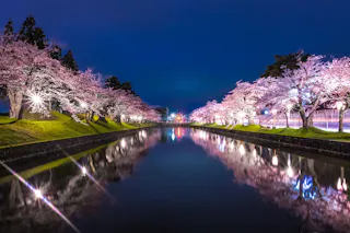 Tsurugaoka Castle Ruins Park (Tsuruoka Park)
