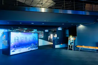 Salmon Hometown Chitose Aquarium