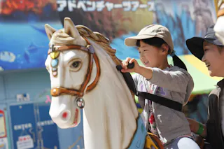 Shibukawa Skyland Park