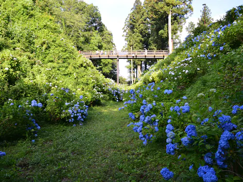 Kurobane Castle Ruins Park Kurobane Castle Ruins Park