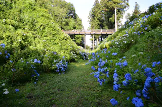 Kurobane Castle Ruins Park