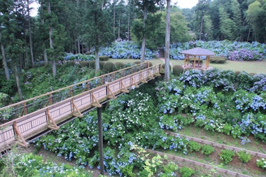 Kurobane Castle Ruins Park