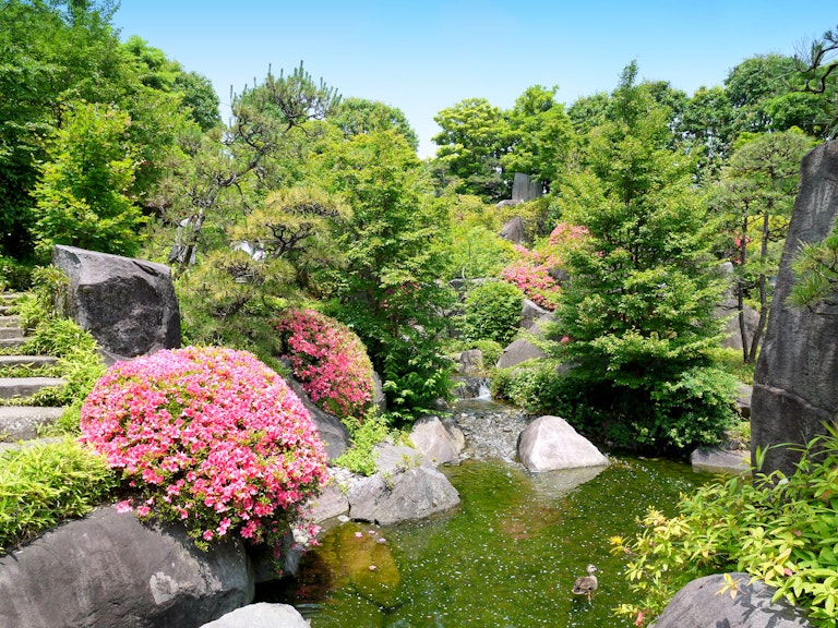Mejiro Garden