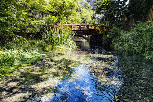 Genbe River, Shizuoka