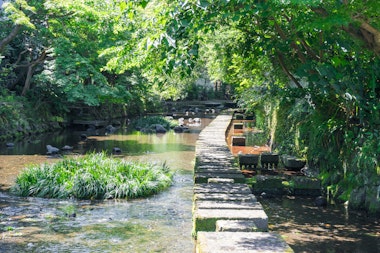 Genbe River, Shizuoka