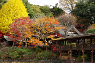 Hondoji Temple